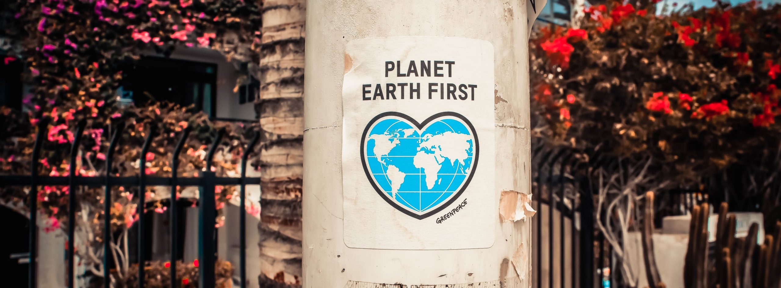 planet-earth-first-poster-on-a-concrete-post-3302183