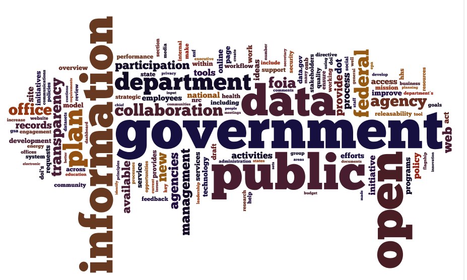 government government